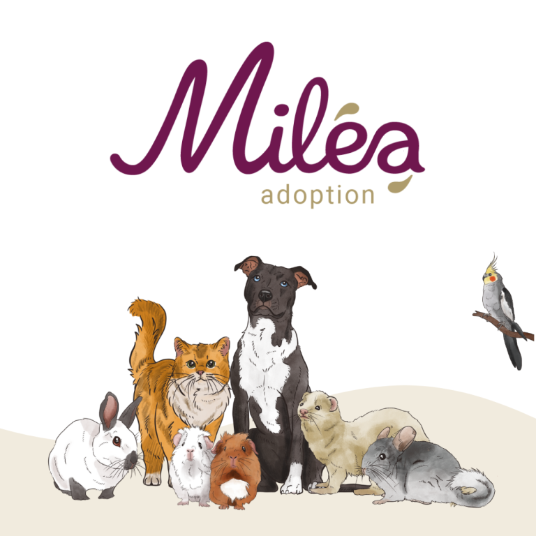 Logo de Miléa avec divers animaux domestiques pour adoption.